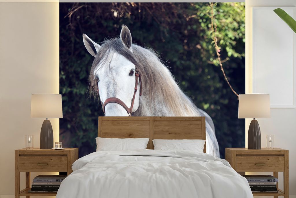 MuchoWow Fototapete für Wohnzimmer oder Schlafzimmer Wandtapete Vinyl Motivtapete Pferd - Halfter - Natur - 350x350 cm - Schlafzimmertapete