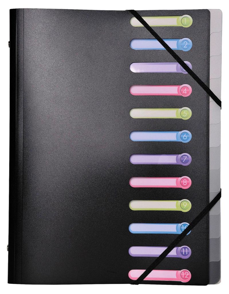 EXACOMPTA Classeur à levier, DIN A4, PP, 12 compartiments, Image du produit 