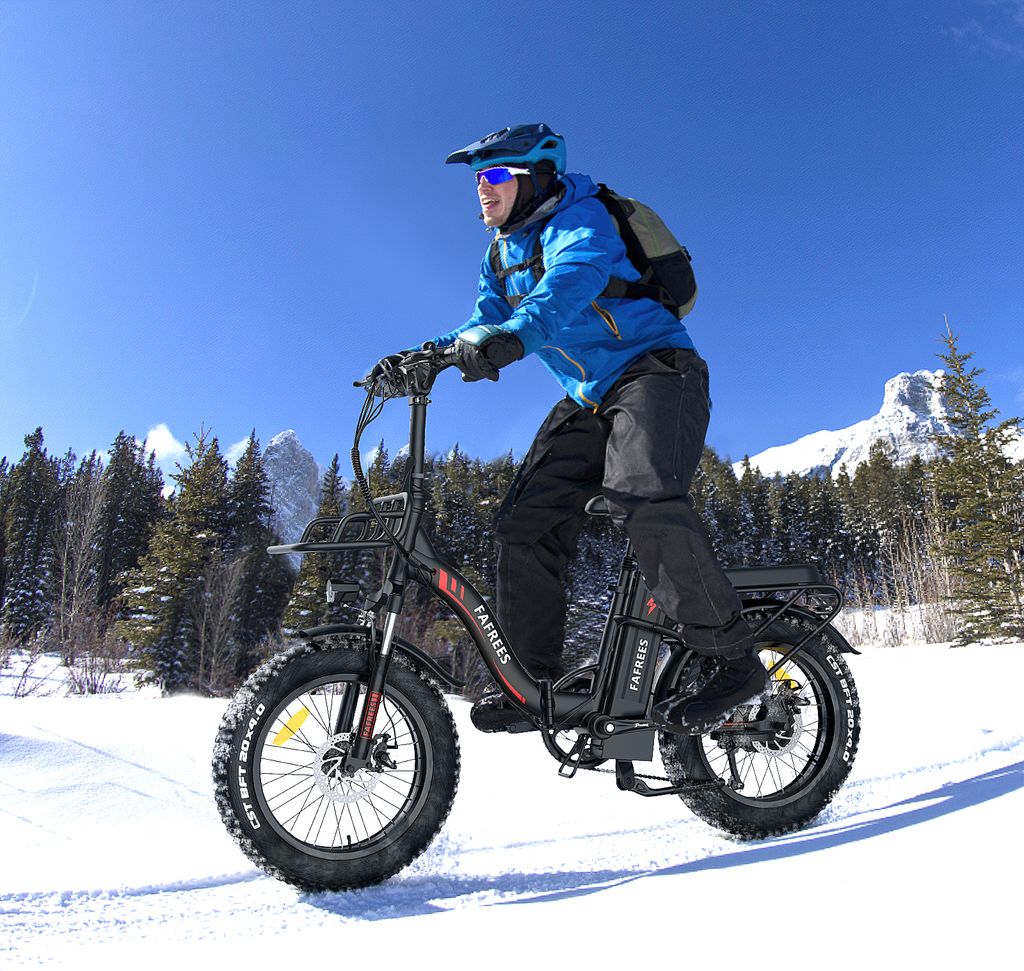 Fafrees F20 MAX Fatbike Ebike Klapprad 20 Zoll mit 48V 18AH Produktbild 9