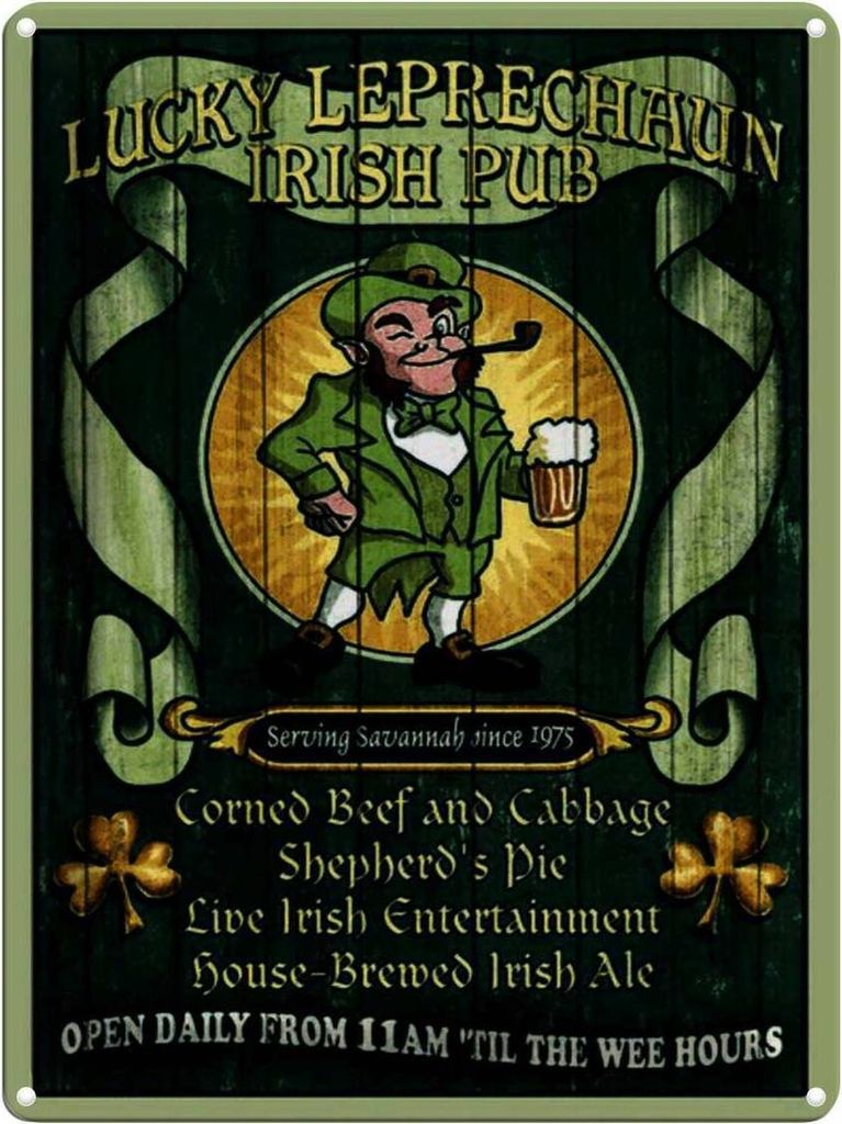 vianmo Blechschild 40x30 cm Bier Irish Pub open daily from 11am