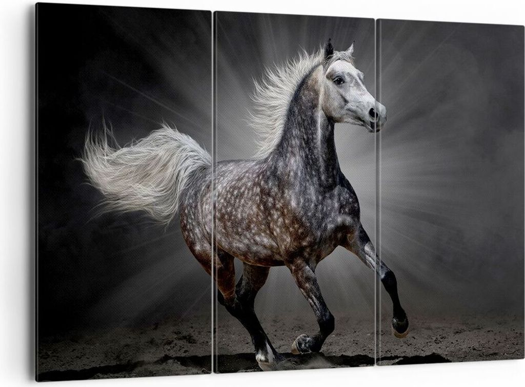 Bild auf Leinwand - Leinwandbild - Pferd Tier Natur - 165x110cm - Wand Bild - Wanddeko - Leinwanddruck - Bilder - Kunstdruck - Wanddekoration - Lei...