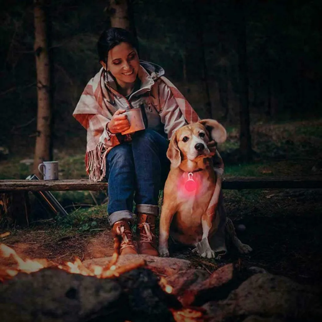 Inseguitore ha condotto la luce per la luce del pendente del collare del cane dell'imbracatura - 11