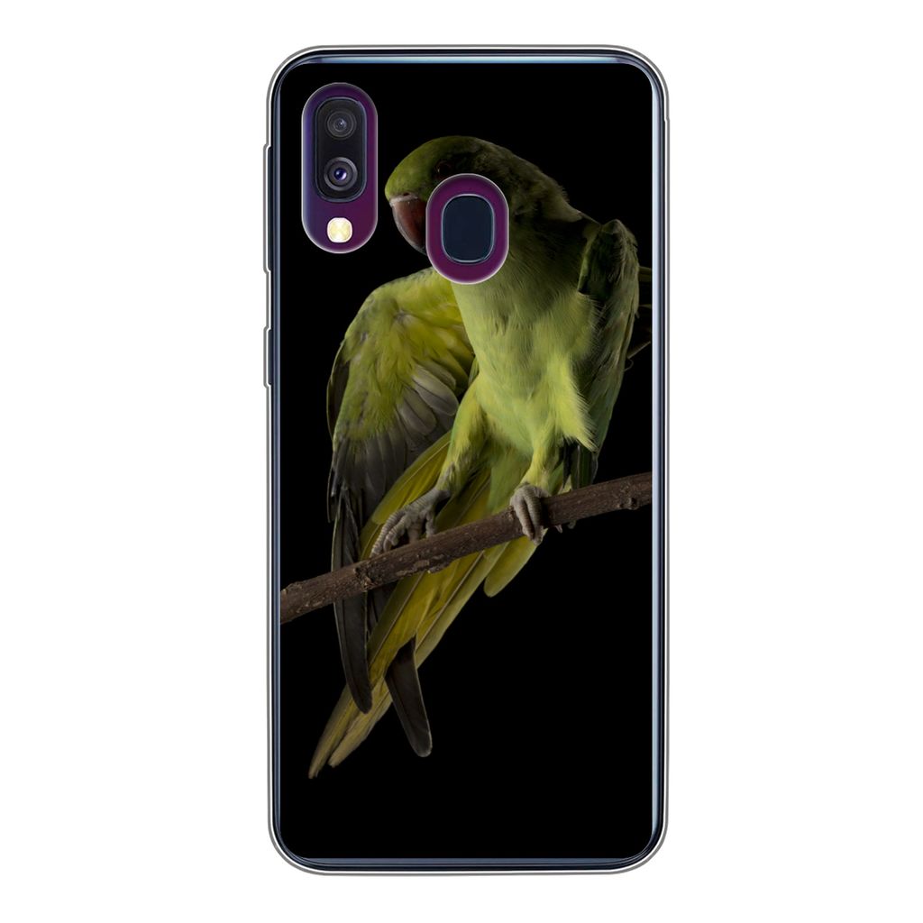 MuchoWow Handyhülle Schutzhülle Hülle für Samsung Galaxy A40 Papagei - Vogel - Zweig Silikon Softcase Handy Hülle