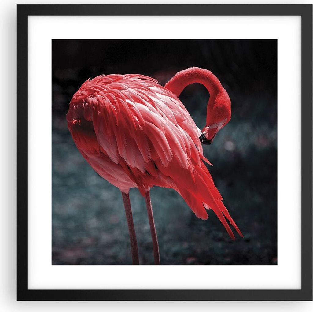 Gerahmtes Poster - Schwarzer Rahmen - Flamingo Rosa Vogel - 40x40 cm - Wand Bild - Wanddeko - Wandbilder - Kunstposter - Wandposter - Bilderrahmen ...