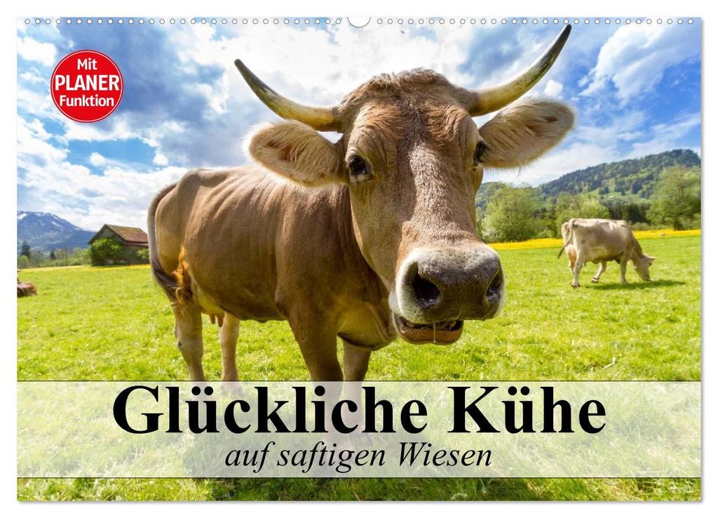 Glückliche Kühe auf saftigen Wiesen (Wandkalender 2027 DIN A2 quer), CALVENDO Monatskalender