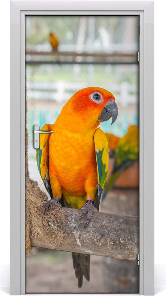 Tulup Türaufkleber 85x205 cm Dekorative Aufkleber Selbstklebend Wasserdichte Tapete Abnehmbar Schlafzimmer Wohnzimmer Wohnkultur - Parrot Wand