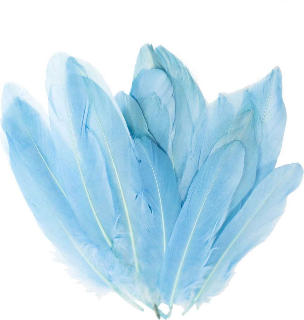 20 Entenfedern 15-21cm Bastelfedern Federn Dekofedern f. Hüte Kostüme Basteln