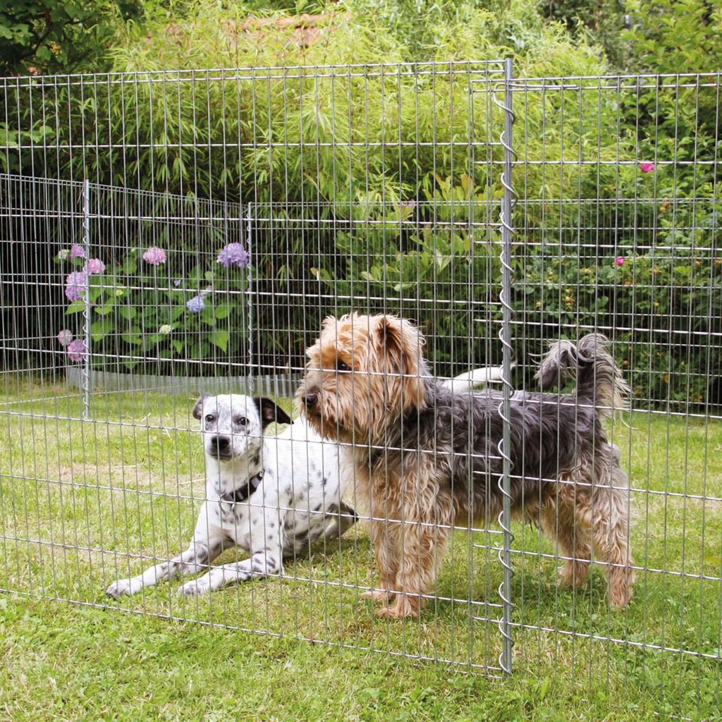 Two dogs are in a fenced-in yard with greenery and flowers in the background.
