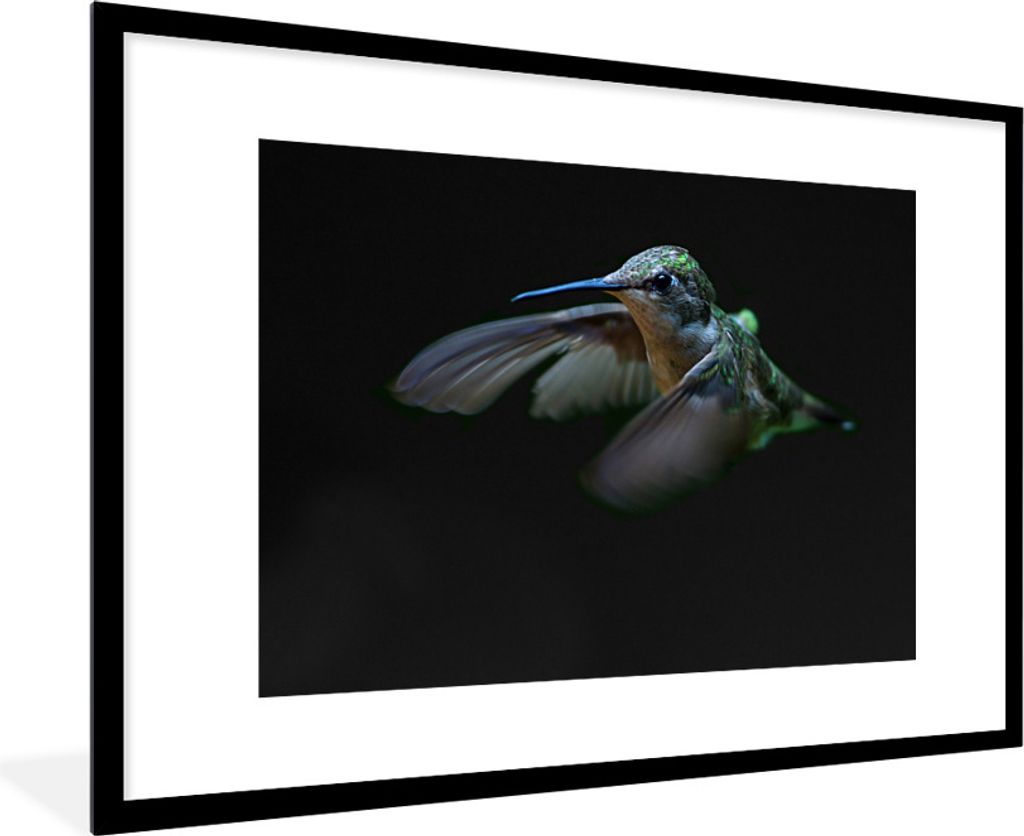 MuchoWow Gerahmtes Poster Kolibri - Federn - Schwarz 90x60 cm - Poster mit Schwarzem Bilderrahmen Wandposter Rahmen Foto Bilder - Wanddekoration ...