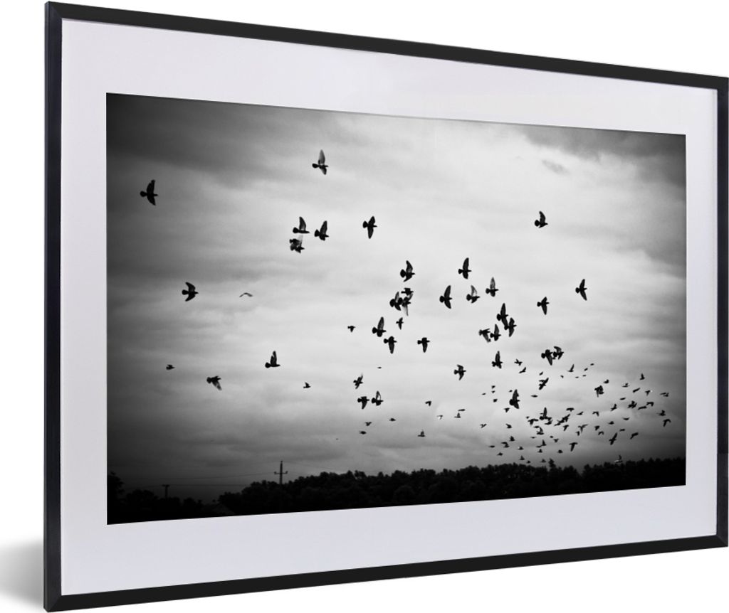MuchoWow® Gerahmtes Poster Tiere - Vögel - Wolken - Schwarz Produktbild 