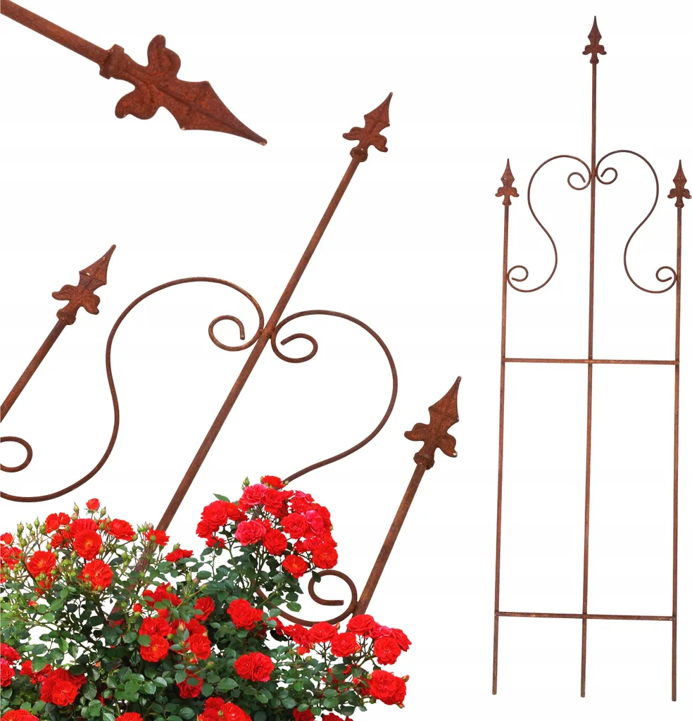 Tuteur Pergola Métal Noir 150cm Résistant Intempéries pour Arbuste Grimpant