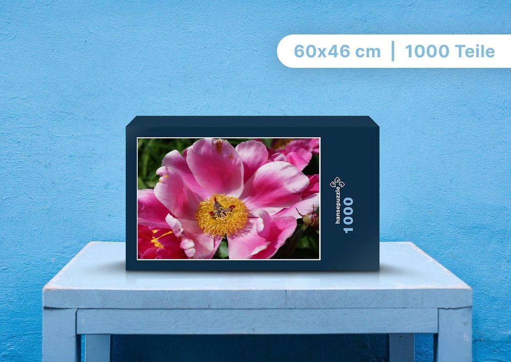 hansepuzzle 99015 - Pfingstrose Puzzle, 1000 Teile, Natur, 60,0 x 46,0cm mit hochwertiger Aufbewahrung, Kartonbox und wiederverschließbarem Beutel