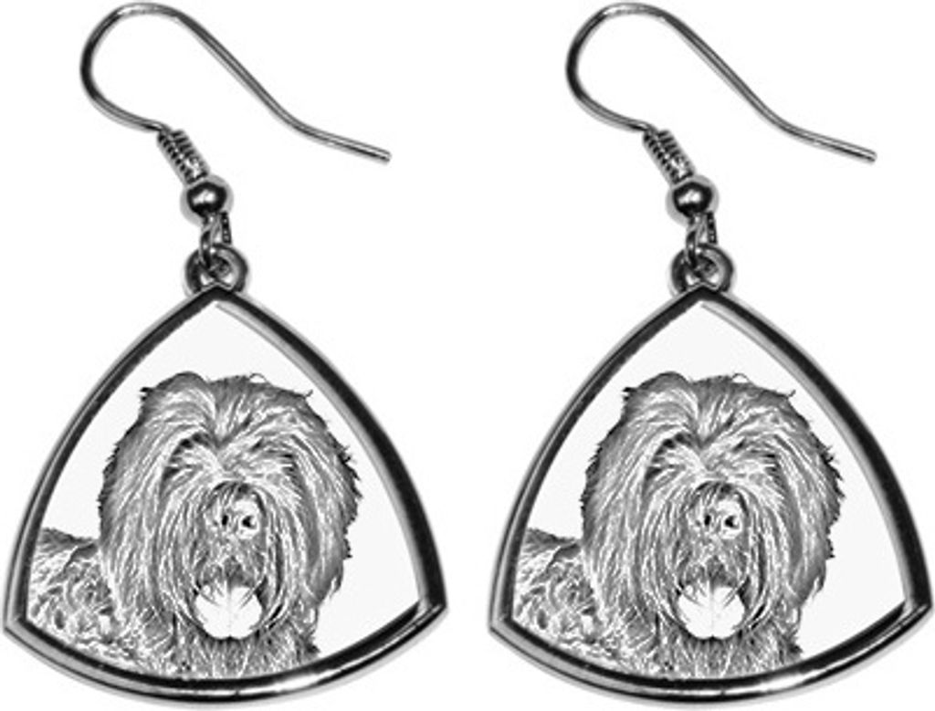 Russischer Schwarzer Terrier, Russkiy Tchiorny Terrier - Hund Ohrringe, hängende Ohrringe mit Bild, personalisierter Schmuck mit dem Aufdruck der ...