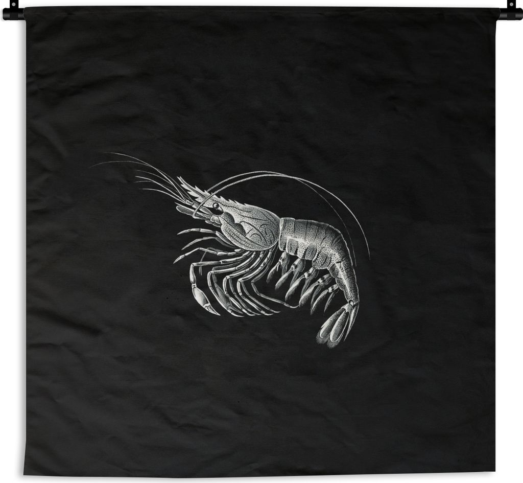MuchoWow Wandteppich Wandbehang Shrimps - Vintage - Ernst Haeckel - Tiere - Kunst 90x90 cm Tapisserie Dekoration Wandtuch - Wandaufhänger