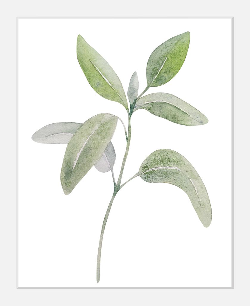 Gerahmter Digitaldruck 30x40cm Eukalyptus Pflanzen Plant Art | Wandbild | Design-Poster | Weißer Holzrahmen | Dekoration