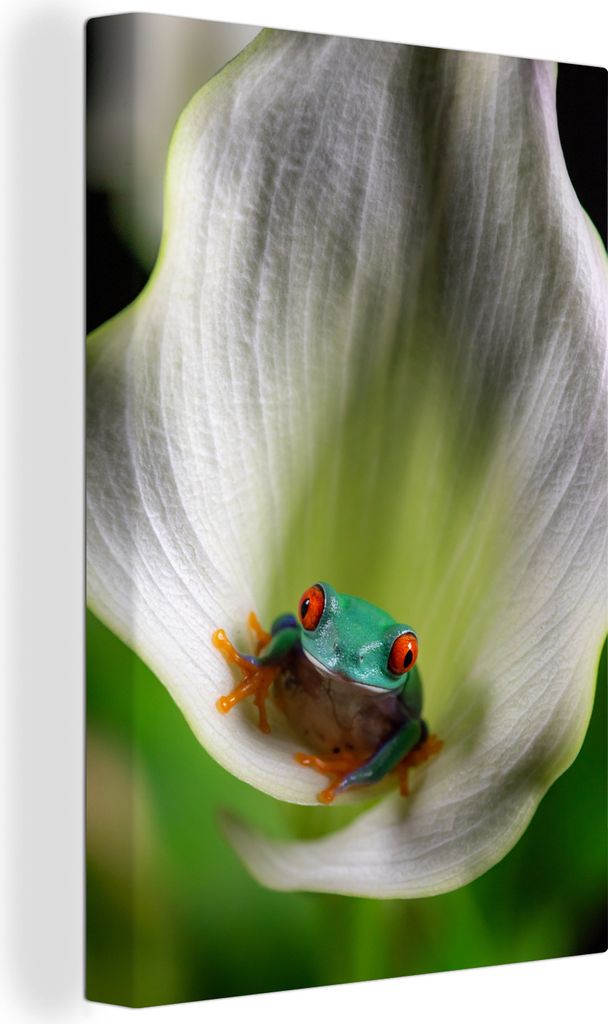 OneMillionCanvasses - Leinwandbilder - 90x140 cm, Nahaufnahme eines Frosches in einer Blume, Wandbilder Kunstdruck Wanddekoration - Wandschmucke ...