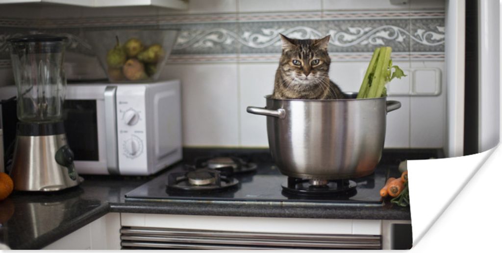 MuchoWow Poster Katze - Pfanne - Küche 40x20 cm - Poster für die Wand - Poster Schlafzimmer
