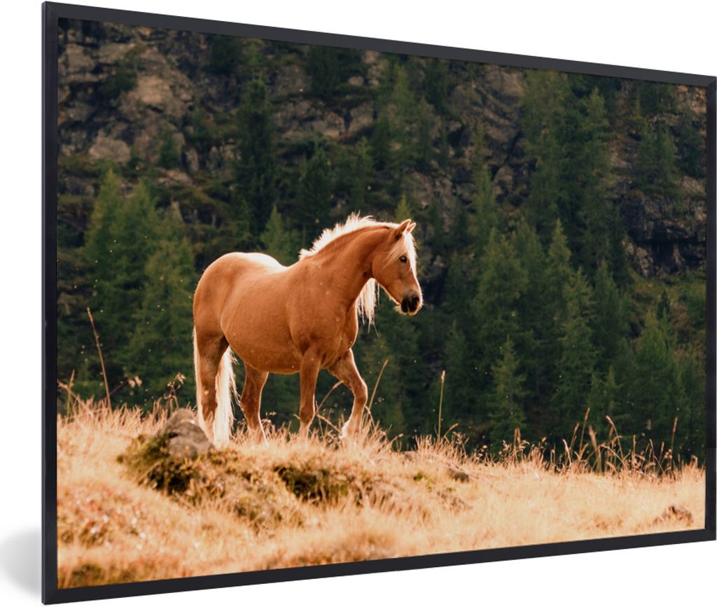 MuchoWow Gerahmtes Poster Haflinger Pferd im gelben Gras 90x60 cm - Poster mit Schwarzem Bilderrahmen Wandposter Rahmen Foto Bilder - Fotorahmen ...