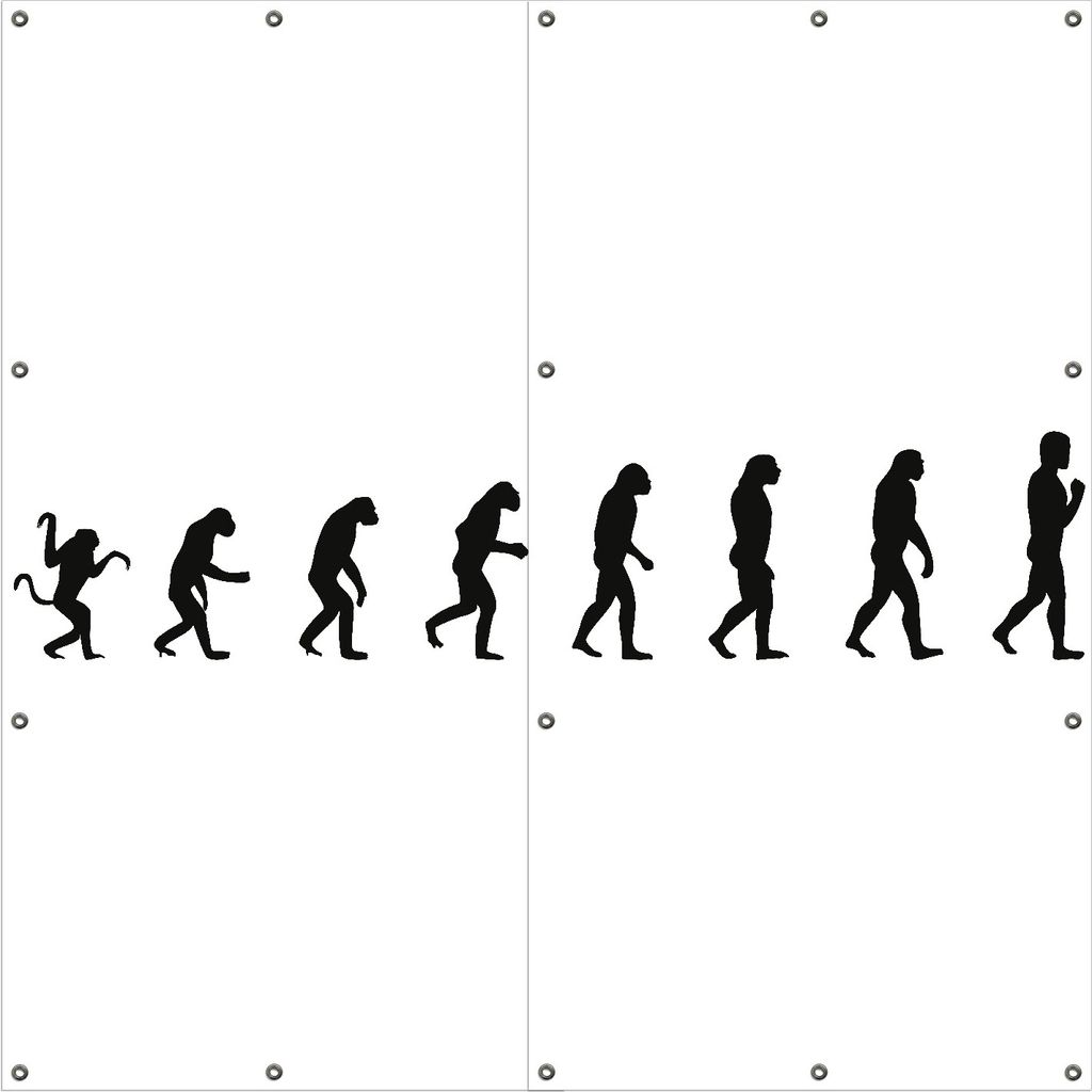Wallario Outdoor-Poster für Garten oder Balkon, Motiv Evolution - Die Entwicklung des Menschen, in ca. 180 x 180 cm