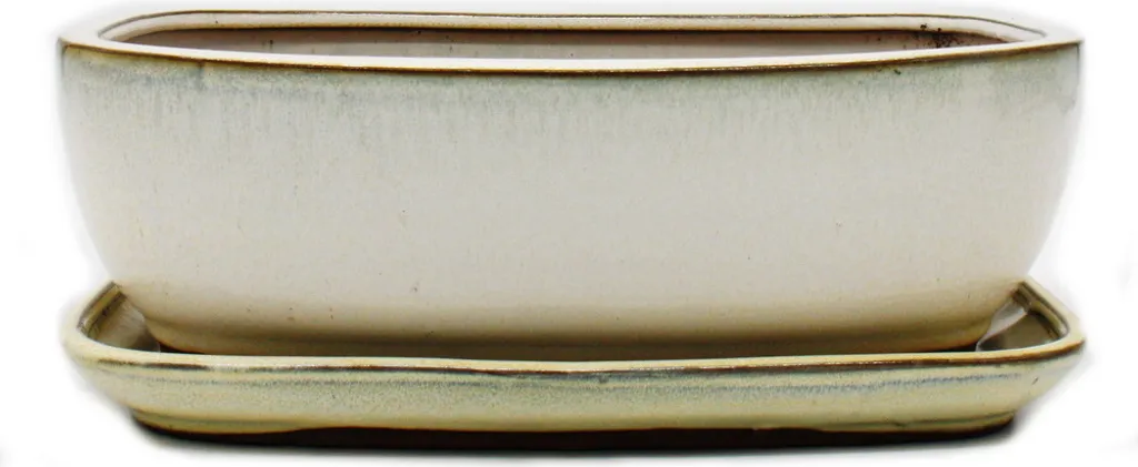 Bonsai Bol avec Soucoupe rectangulaire GB5 - Beige clair - 31x25x10 cm