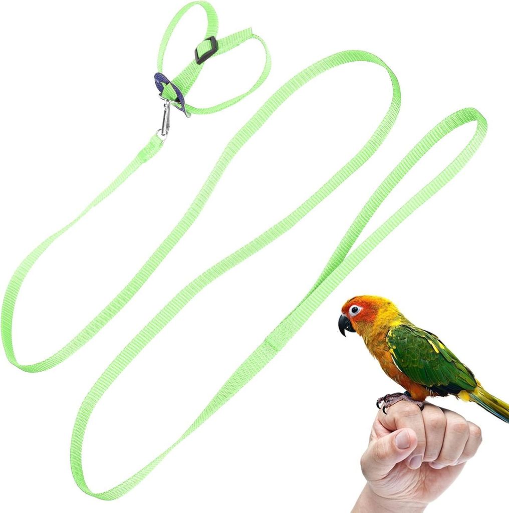 Papagei Vogelgeschirr und Leine – Verstellbares Fluggeschirr für Tauben, Wellensittiche, Outdoor-Trainingsspielzeug