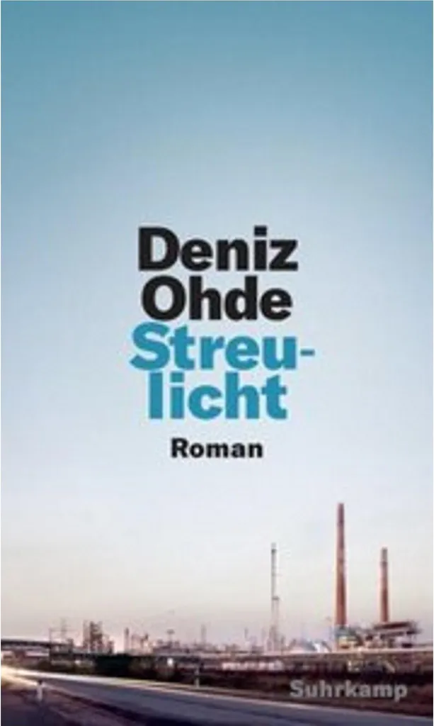 Pare-Soleil Rigide Streulicht Antichoc et Antireflet pour Photographie