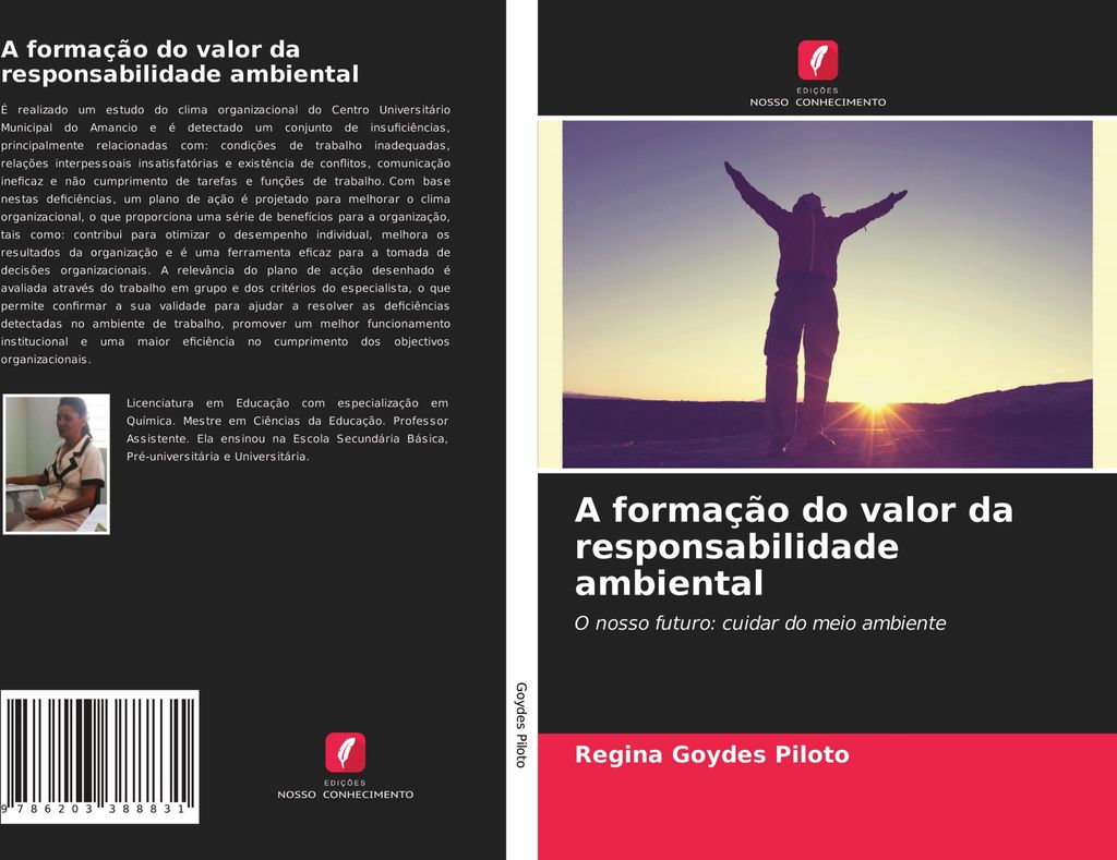 A formação do valor da responsabilidade ambiental