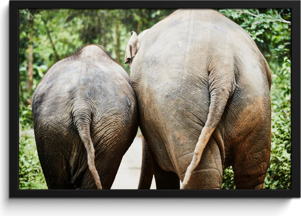 MuchoWow MuchoWow Gerahmtes Poster Elefant - Tiere - Grau - Natur 60x40 cm - Poster mit zchwarzem Bilderrahmen - Printing - Wanddeko Schlafzimmer
