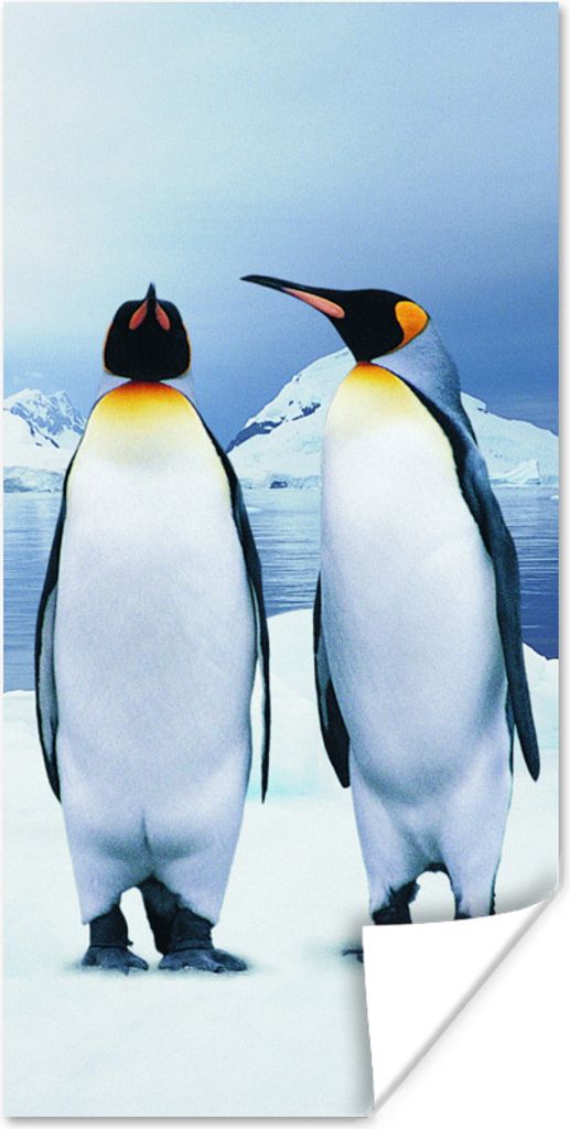 MuchoWow Poster Zwei Pinguine Porträt 80x160 cm - Kinderzimmer