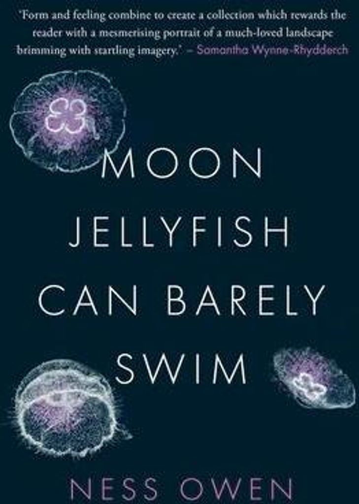 Moon Jellyfish Can Barely Swim