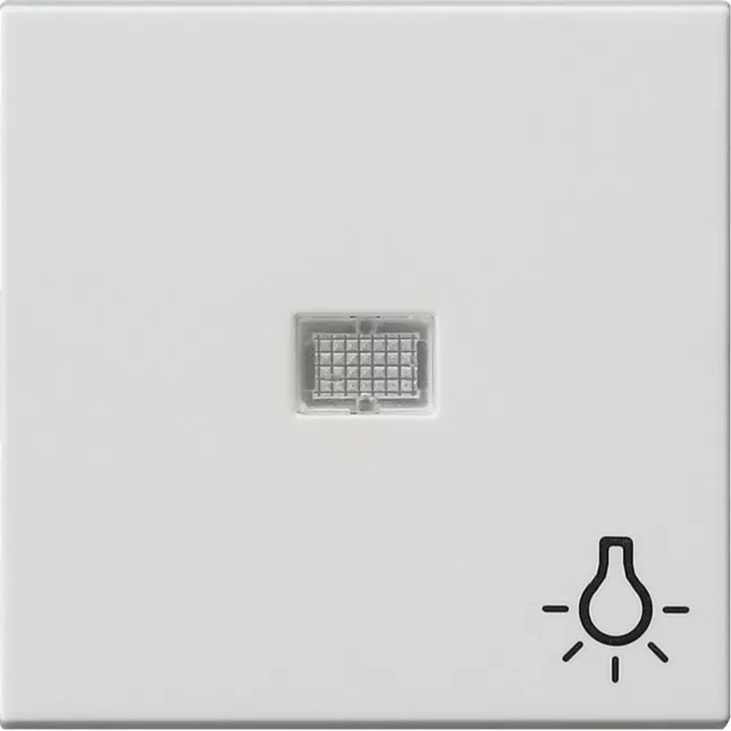 GIRA Kontrollwippe Schalter System 55 rws mt "Licht"