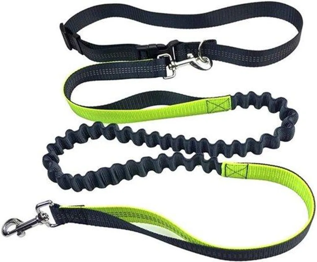 Laisse réfléchissante pour chien avec élastique anti-traction - Vert