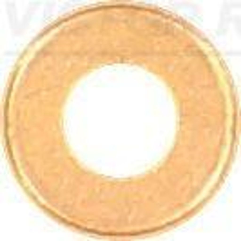 REINZ Dichtring Einspritzventil 70-12077-00 2mm Kupfer 7,3mm 16mm