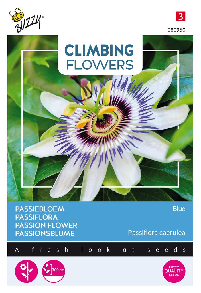 Buzzy Climbing Flowers Passionsblume Blau Samen - Ca. 0,5 gr | Buzzy_080950