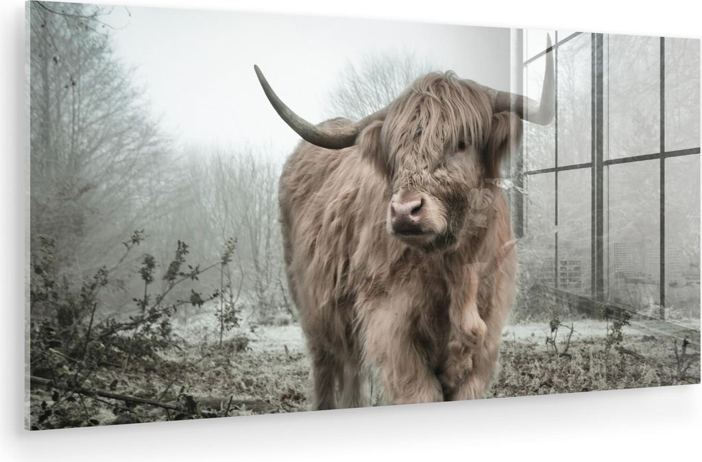 MuchoWow Glasbilder - Bilder auf Wandbild - Foto auf Glas Schottisches Hochlandrind - Wald - Nebel - Kuh - Tiere - Natur 80x40 cm Wanddekoration au...