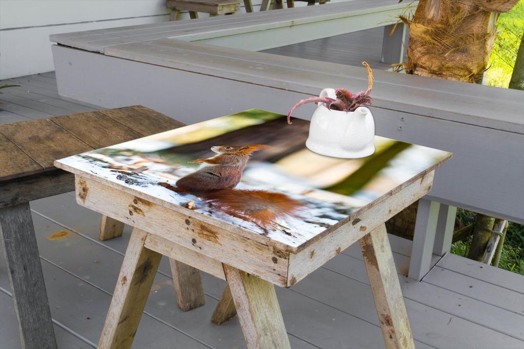 Wallario selbstklebende Möbelfolie/ Tischdecke für Innen und Außen, Größe: 60 x 60 cm - Neugieriges Eichhörnchen im verschneiten Wald