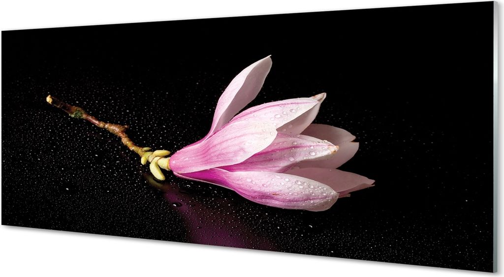 Glasbilder 125x50 Wandkunst Blumenwasser