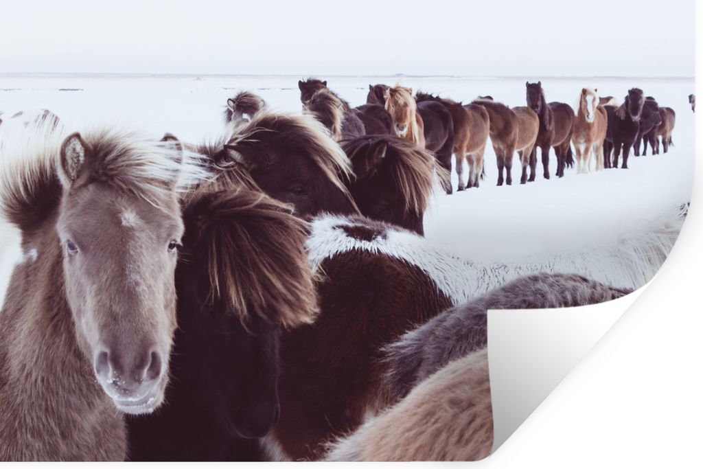 MuchoWow - Wierderverwendbar - Selbstklebend