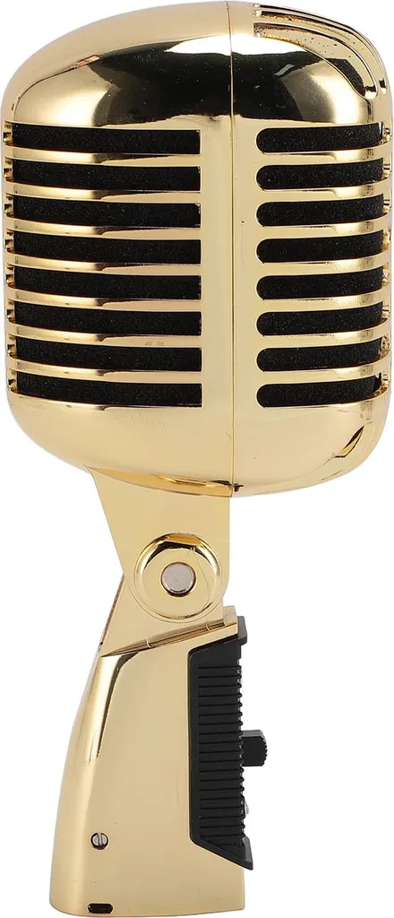 Microphone pour Spectacle en Direct et Studio Enregistrement Style Rétro