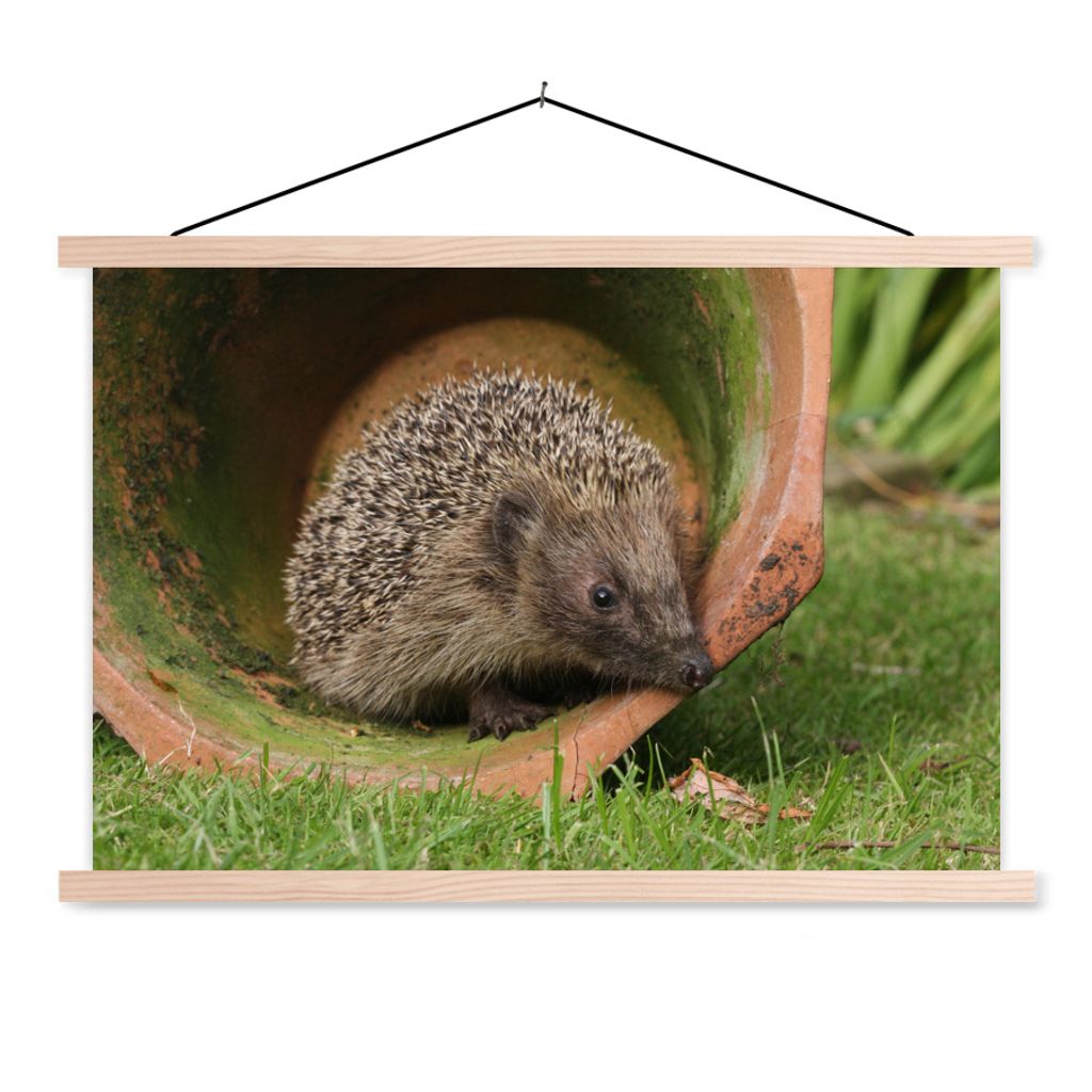 MuchoWow Textilposter Igel im Einmachglas 120x80 cm mit holzfarbenen Rahmen - Aufhängeset