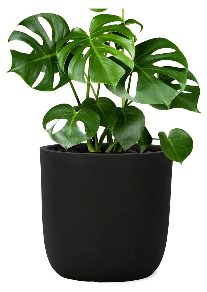Pflanzkübel Cup - Blumentöpfe Übertöpfe 34cm Ø ANTHRAZIT *Frostbeständige Blumenkübel* *UV-Schutz* *Pflanzenkübel *