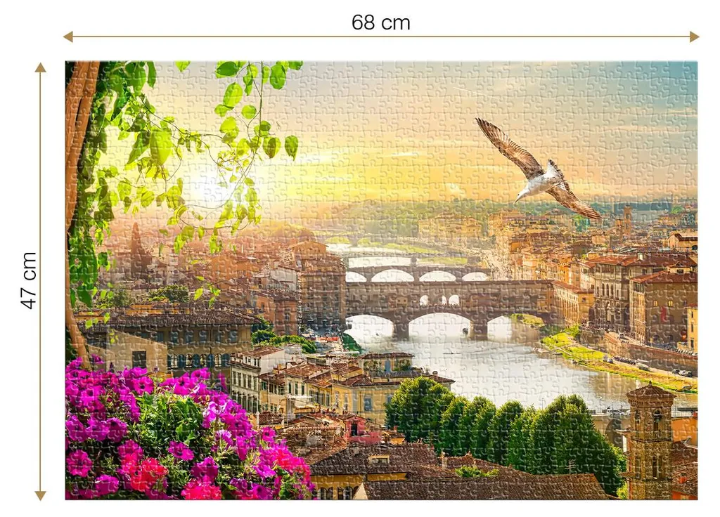 Puzzle 1000 pièces Florence Roovi - Activité Anti-Stress et Calme
