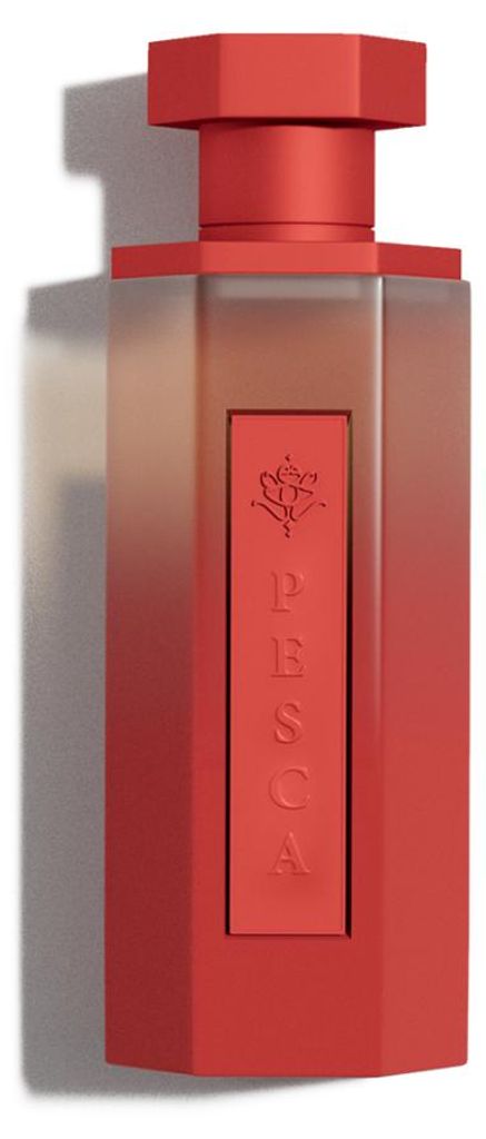 Reef | Reef Pesca |  200 ml Productafbeelding 