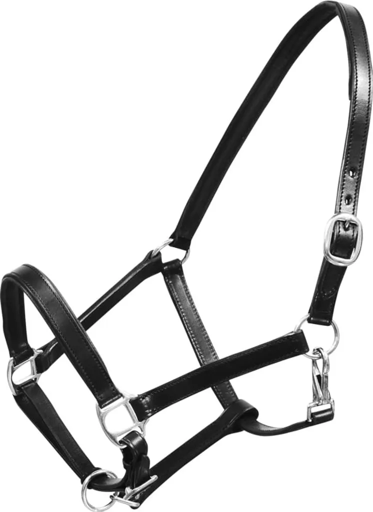 Licol cuir véritable noir ajustable avec boucles en métal Full - 3
