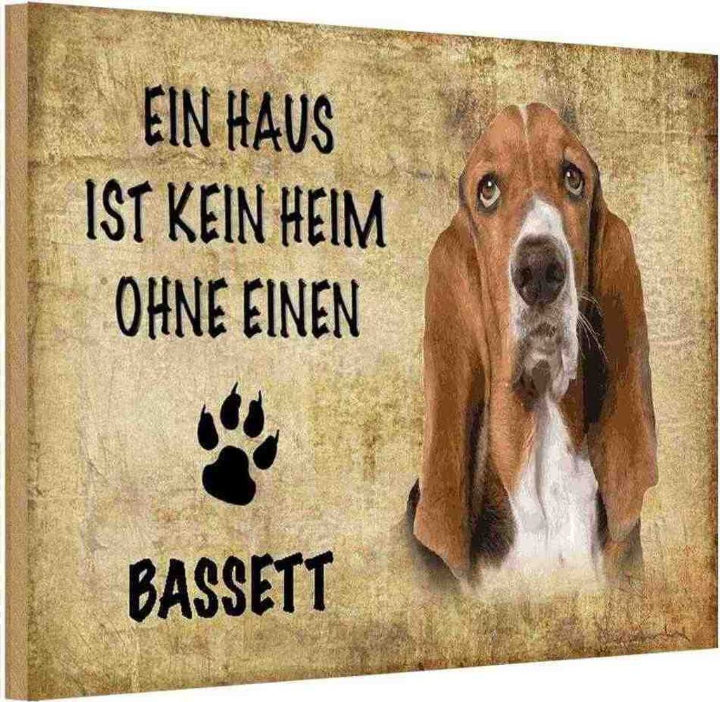 vianmo Holzschild 20x30 cm Bassett Hund ohne kein Heim Tier Haustier
