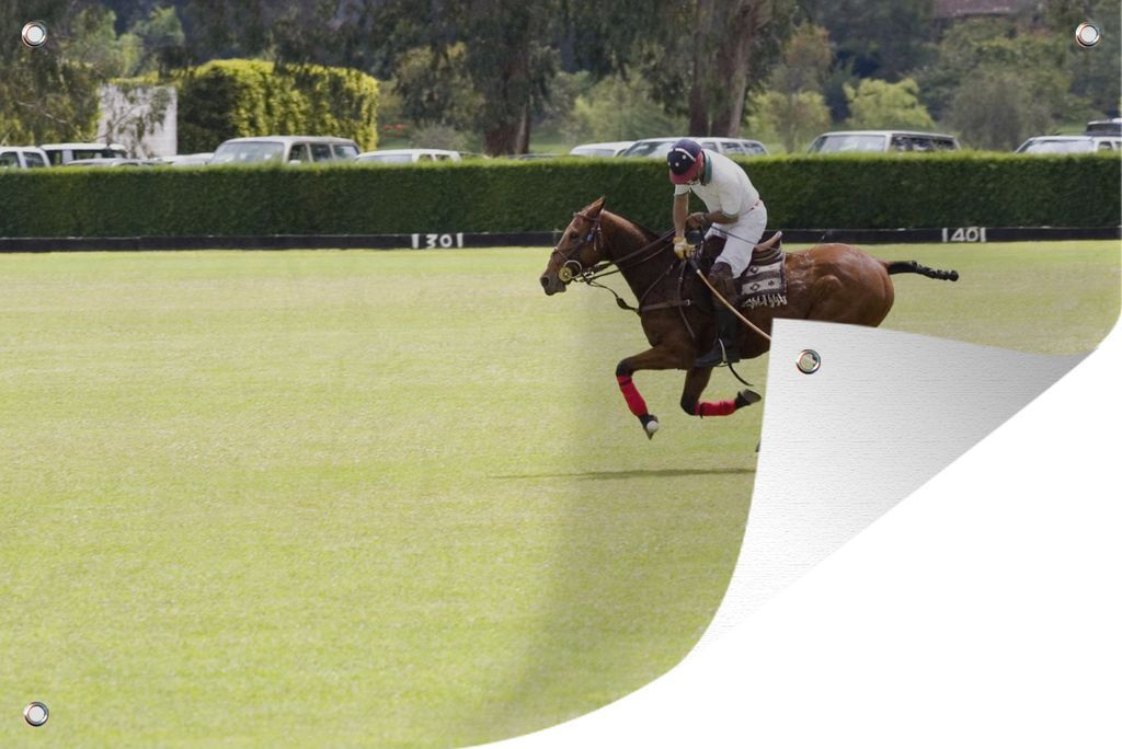 MuchoWow 90x60 cm Outdoor-Poster Gartendeko Sichtschutz Garten Poster für den Garten Galoppierendes Pferd beim Polospiel