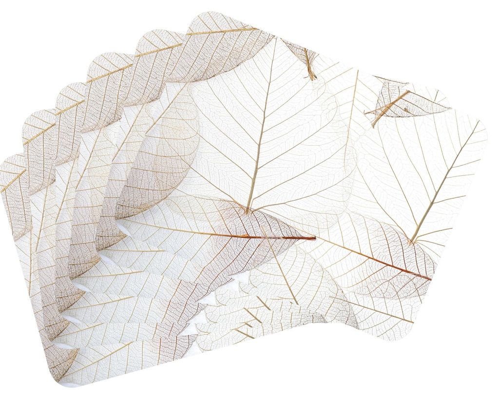 Podložka sada 6 kusov 40x30 cm listy 1, podložka na stôl Obrázok produktu 