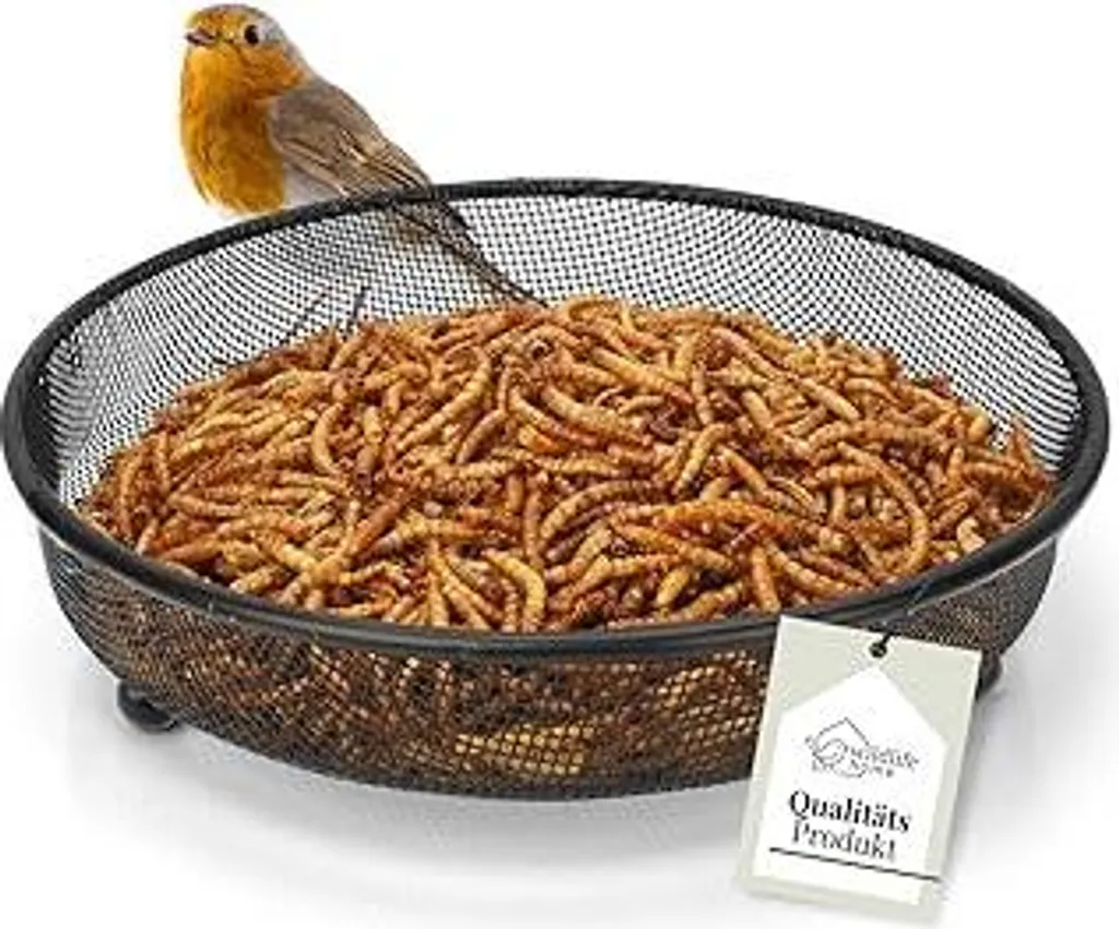 Mangiatoia per Uccelli da Terra Ø18cm in Metallo Antiruggine - Shop Online