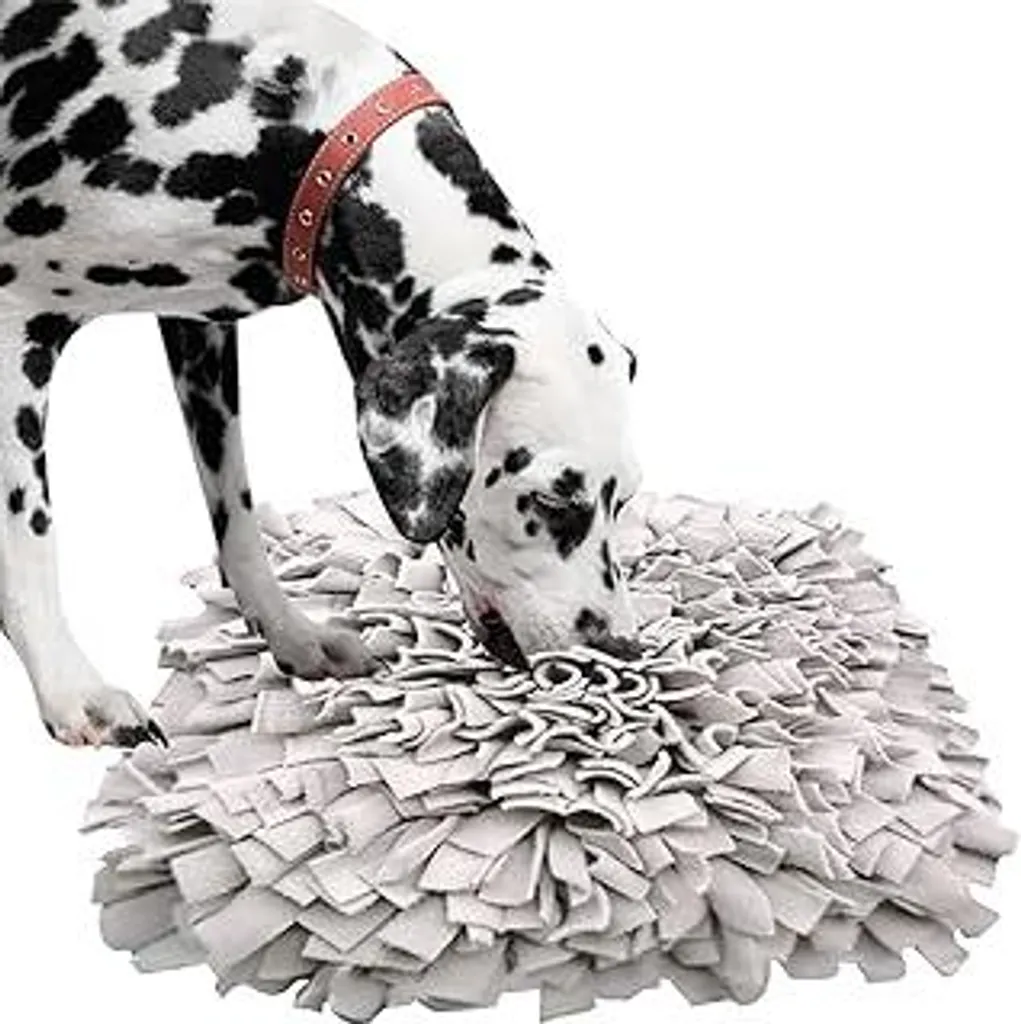 IEUUMLER Tappeto Addestramento Cani IE075 45x45: Qualità al Giusto Prezzo