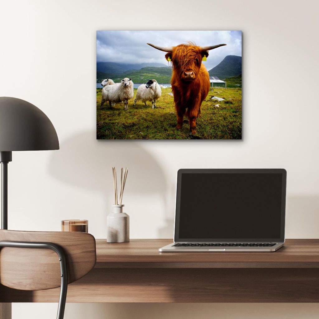MuchoWow Wanddekoration Metall Metallbild Wandkunst 40x30 cm Schottisches Hochlandrind - Leicht - Schaf MuchoWow Aluminium Gemälde - Dekoration Wo...